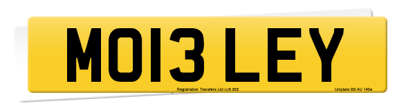 Registration number MO13 LEY
